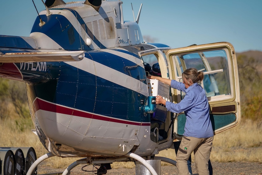 A woman loads a pet carrier into a helicopter.