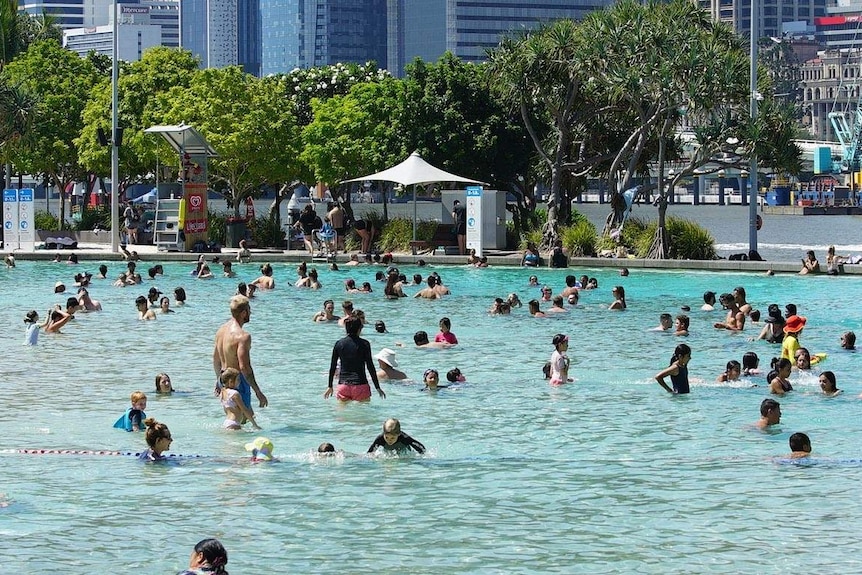 People swim in a public pool.