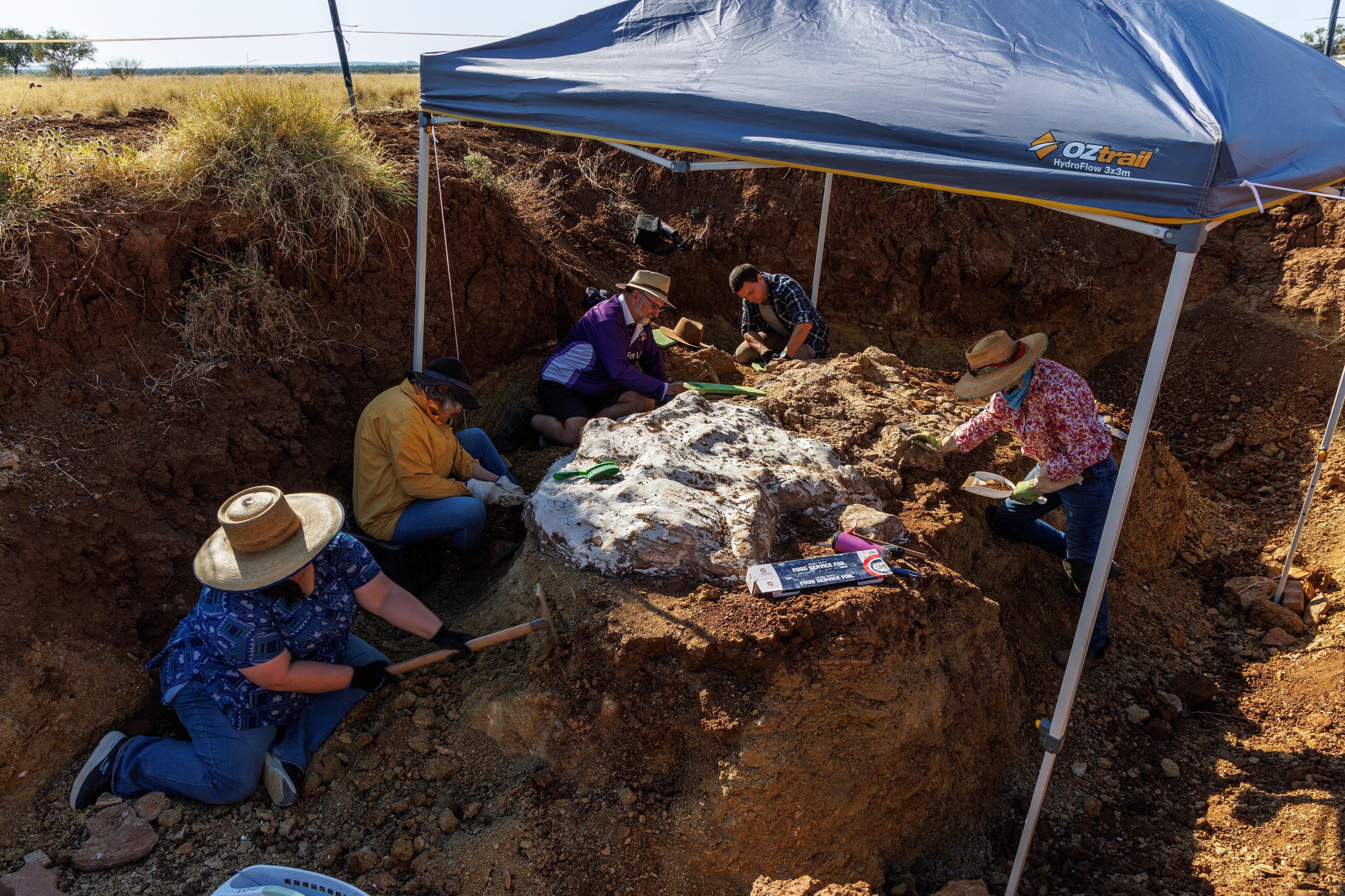 Paleontologists work to remove dirt from large fossil.