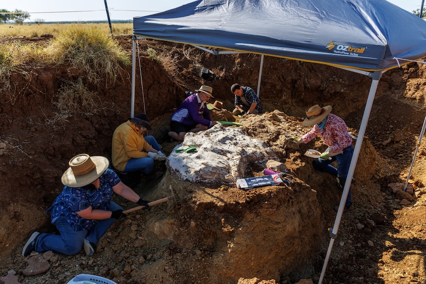 Paleontologists work to remove dirt from large fossil.