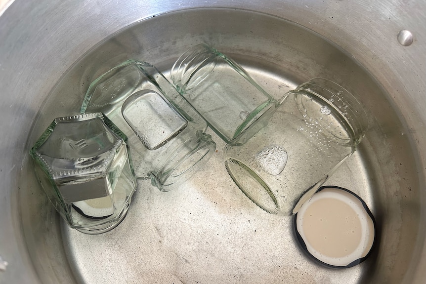 Several empty glass jars sit in a large pot to be sterilised and then filled with jam.