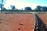 Giant land clearing chain stretches over red soil as farmers in western New South Wales