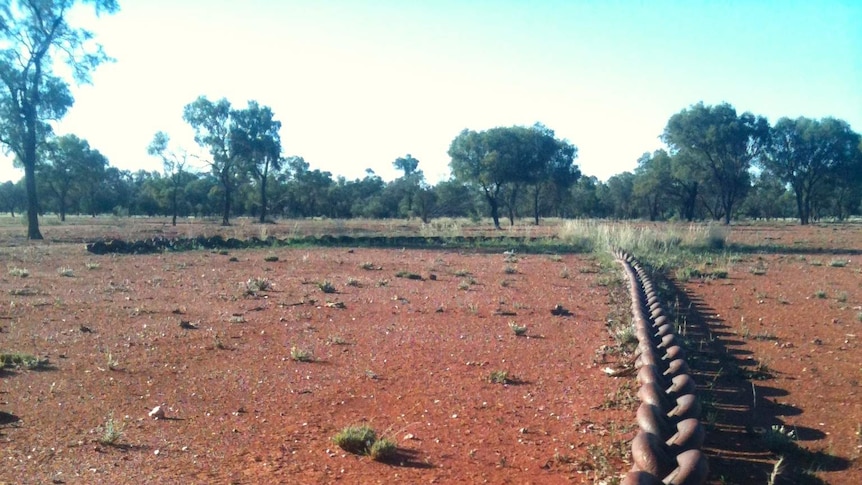 Giant land clearing chain stretches over red soil as farmers in western New South Wales