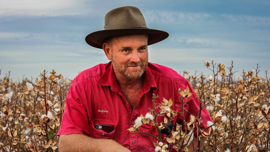Portrait of cotton farmer Andrew Watson kneeling in a cotton field.