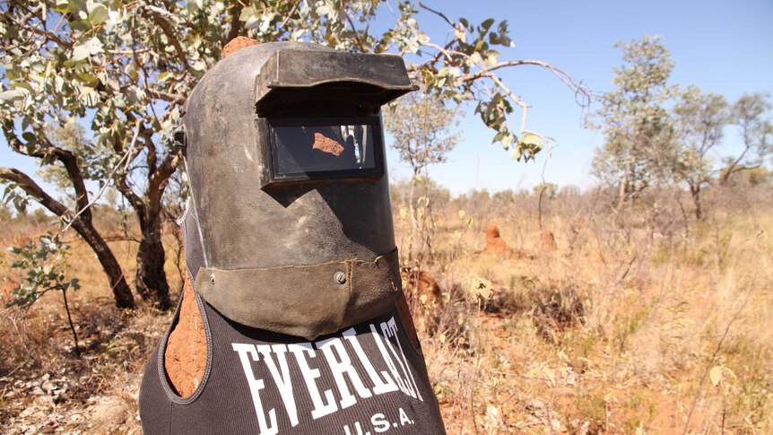 A termite mound wearing a welding mask