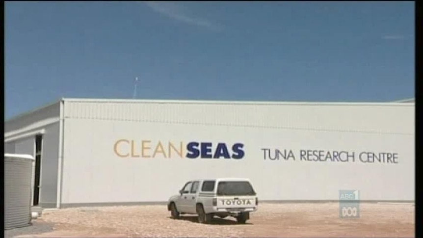 Clean Seas share price dives