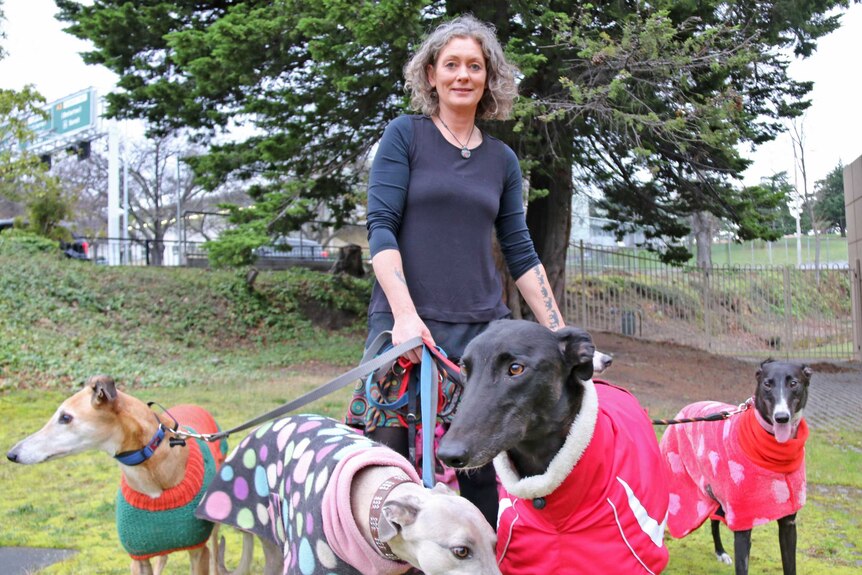 Animal rights activist Emma Haswell with four greyhounds on leashes. The dogs are all wearing coats