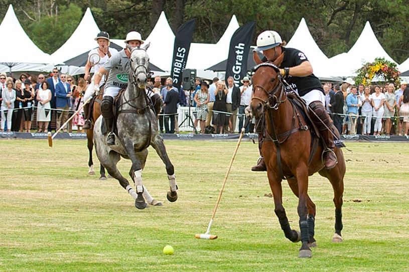 Andrew Williams playing polo.