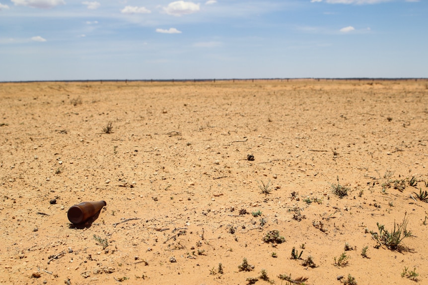 A beer bottle bakes in the sun in a paddock outside of Ivanhoe.