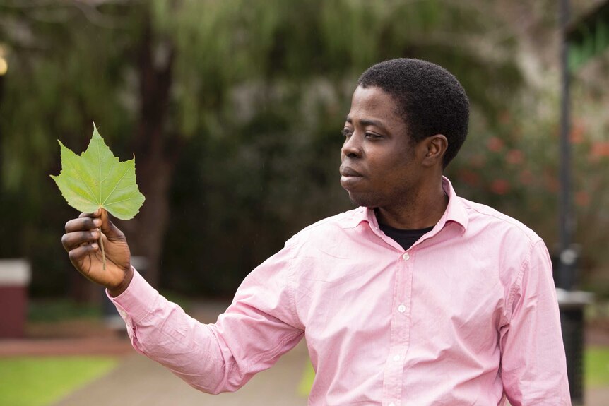 A man is looking at a leaf that he holds in his hand.