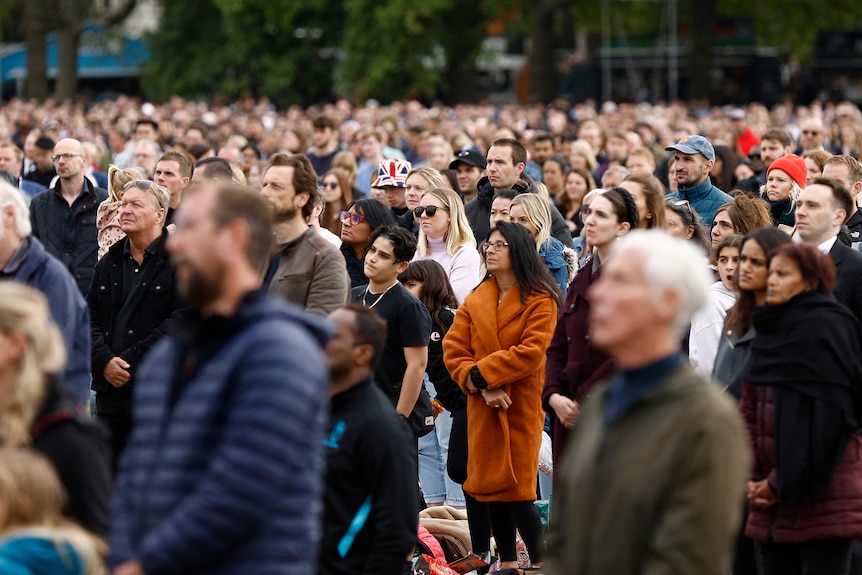 Crowds of people stand to watch. 