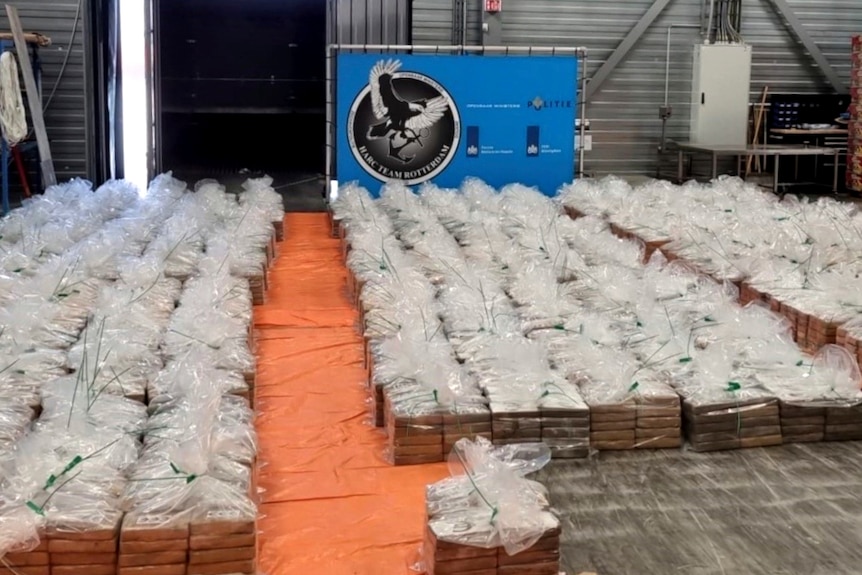 Rows and rows of medium-sized bags filled with a white substance are lined up on the floor of a warehouse.