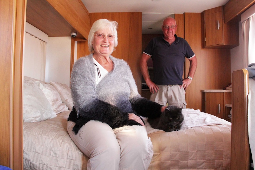 A woman sits on a bed with a cat while a man watches on