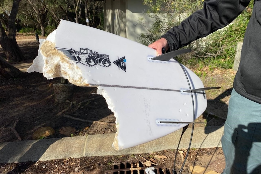 A man holds part of a surfboard bitten off by a suspected four-metre white shark.