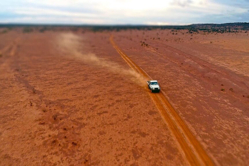 A ute drives across a barren paddock