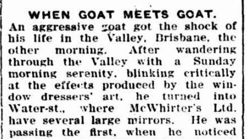 newspaper article with the headline goat meets goat