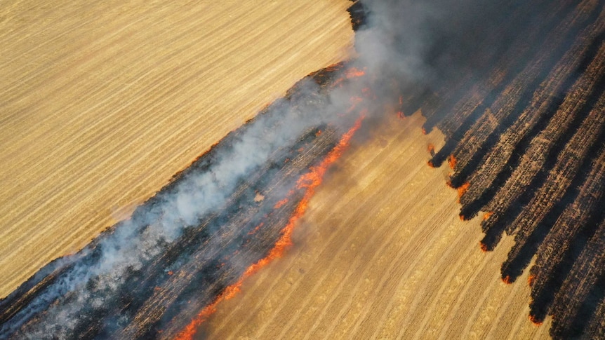 A birds eye view of a burning crop