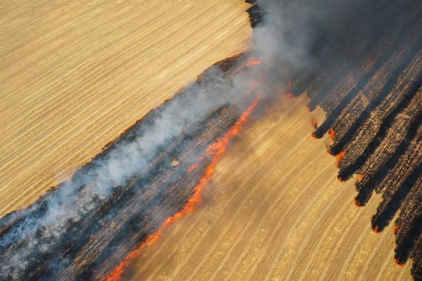 A birds eye view of a burning crop