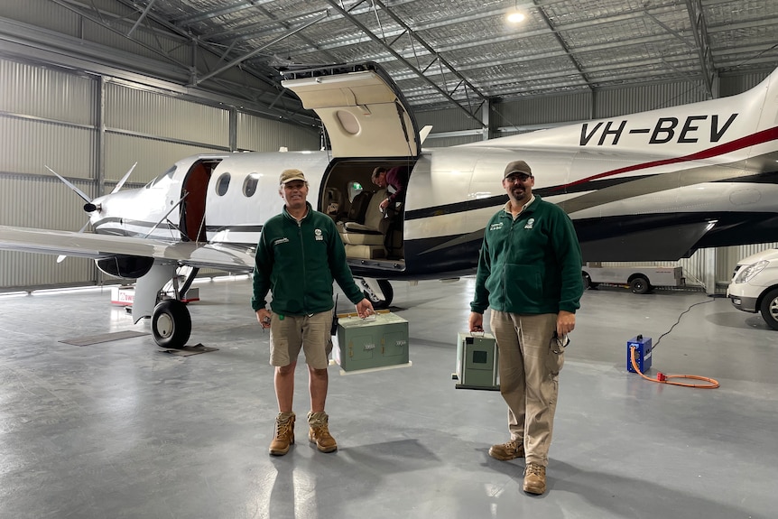 Two zoo keepers wearing caps hold boxes of birds in front of a small charter flight in a hangar.