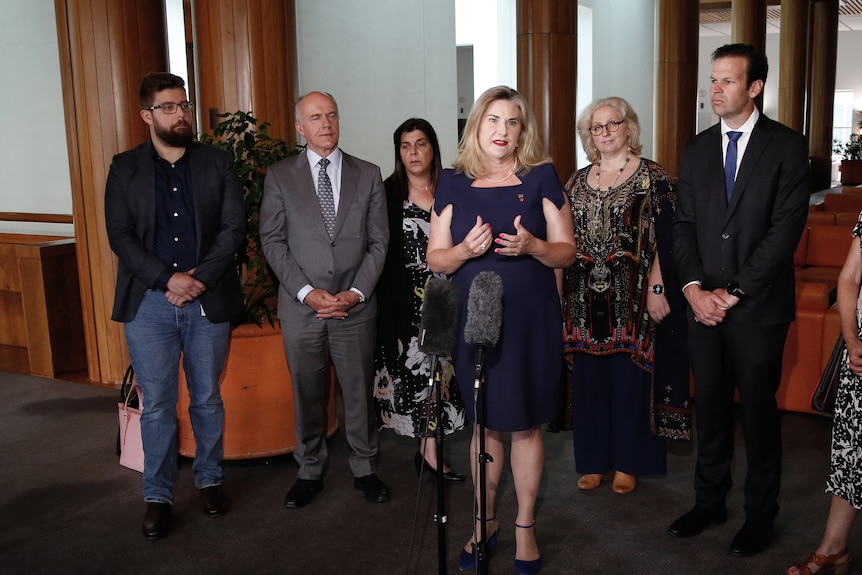 Hollie Hughes stands at a microphone in Parliament House, behind her are a few men and women.
