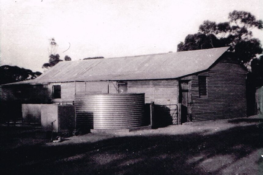 A black and white photo of an old shearing shed