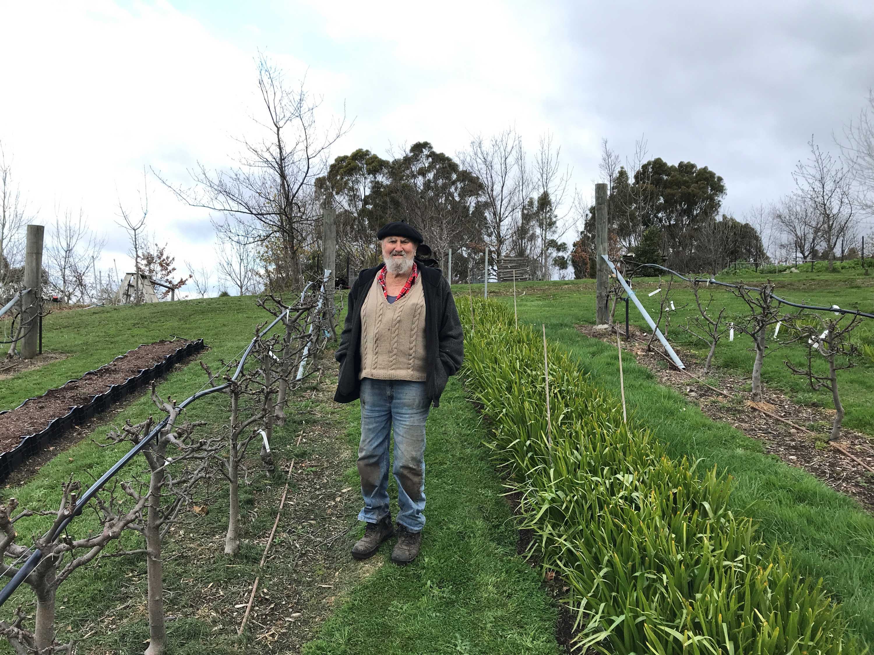 Bob's living apple museum - ABC listen