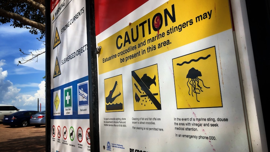 A beach-side sign warning about jellyfish stings
