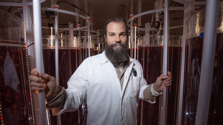 A man with a beard stands next to large cylinders of liquid and red seaweed in a laboratory setting