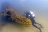 Gold Coast diver Ian Banks said shifting sands have revealed more of the Scottish Prince ship wreck