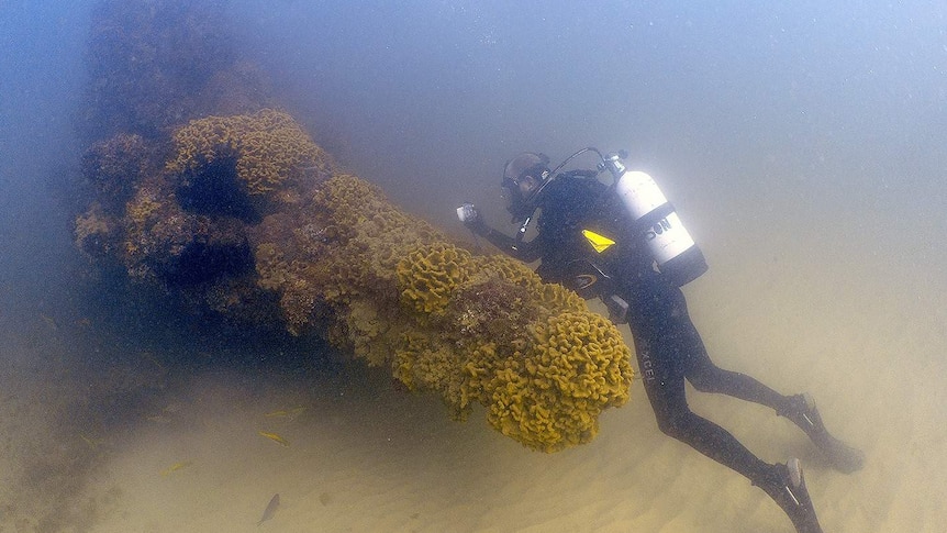 Gold Coast diver Ian Banks said shifting sands have revealed more of the Scottish Prince ship wreck
