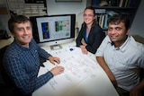 Professor Preiss discusses stem cell reprogramming with colleagues Dr Jen Clancy and Dr Hardip Patel.