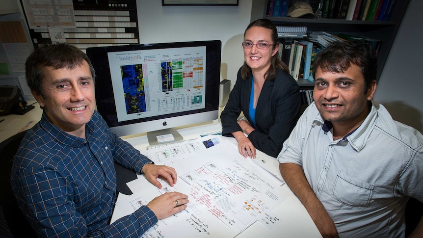 Professor Preiss discusses stem cell reprogramming with colleagues Dr Jen Clancy and Dr Hardip Patel.