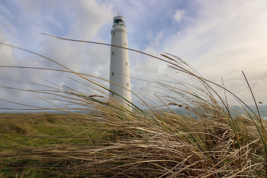 Grass in foreground with a lighthouse in background against a cloudy blue sky and ocean just visible on horizon.