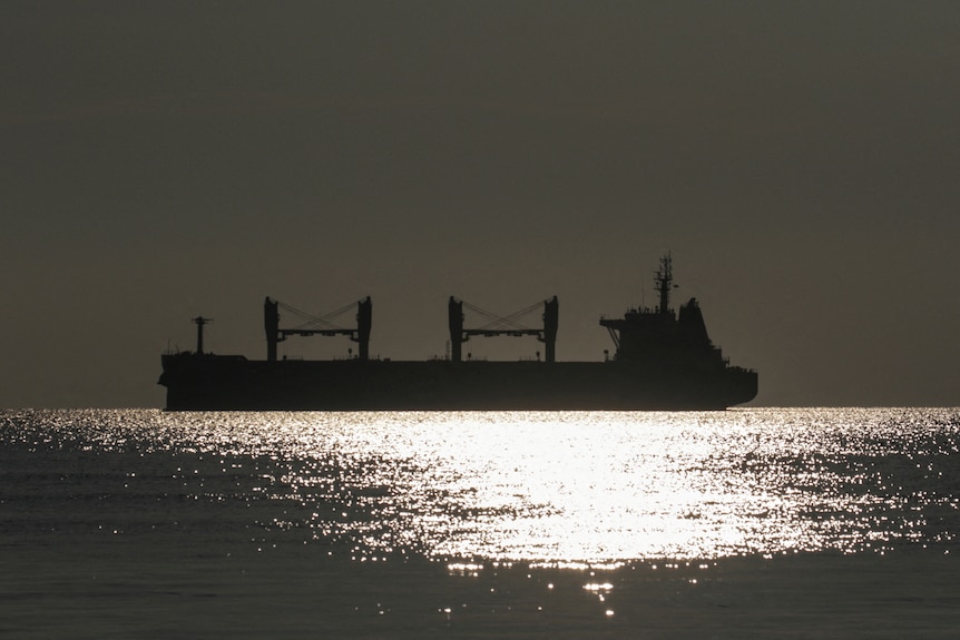 The bulk carrier Rojen leaves the seaport in Chornomorsk after the resumption of grain exports,