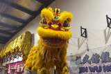 A Chinese yellow lion costume stares directly into the camera