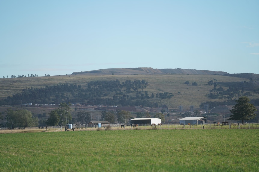 Farmland with horses in the foreground with an overburden and rehabilitated mine land in background.