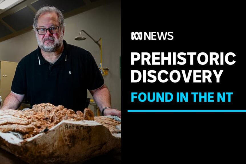 Prehistoric Discovery, Found in the NT: A man with a large fossil on a table.