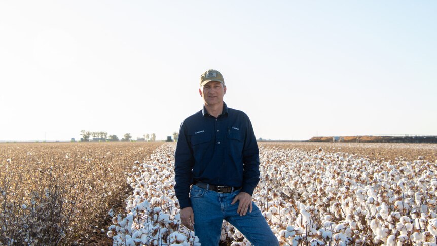 L’entreprise agricole mondiale Louis Dreyfus Company lance une offre publique d’achat sur Namoi Cotton