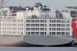 The rear of a grey and white live export ship in port.