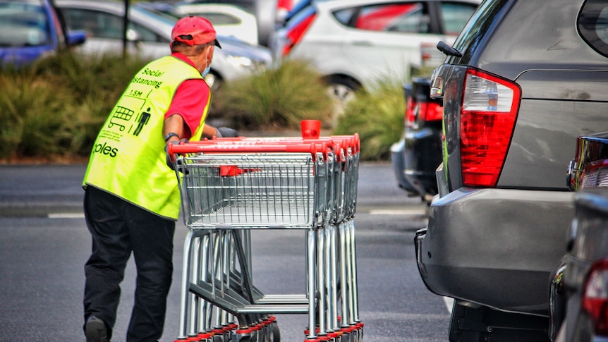 A supermarket staff member collects shopping trolleys in a carpark.