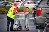 A supermarket staff member collects shopping trolleys in a carpark.