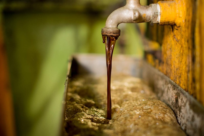 Dark, concentrated sugar syrup pours from a testing tap on the side of a syrup holding tank.