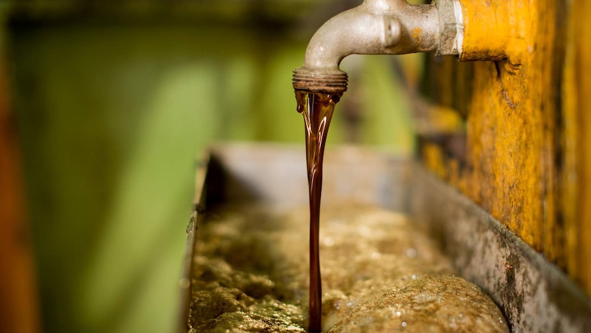 Dark, concentrated sugar syrup pours from a testing tap on the side of a syrup holding tank.