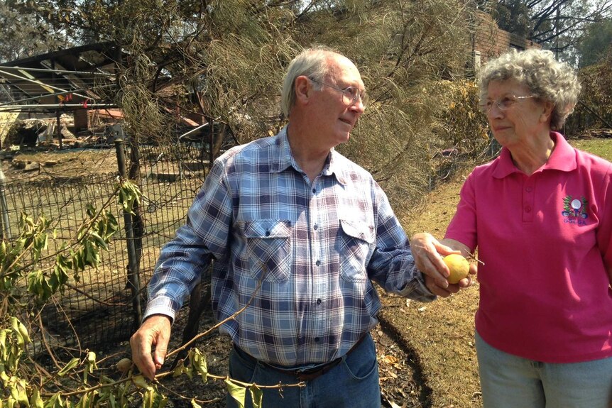 Alan and Jenny Phillips at their Winmalee home