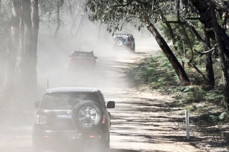 Cars driving on a 4WD track in the Otway Forest Park.