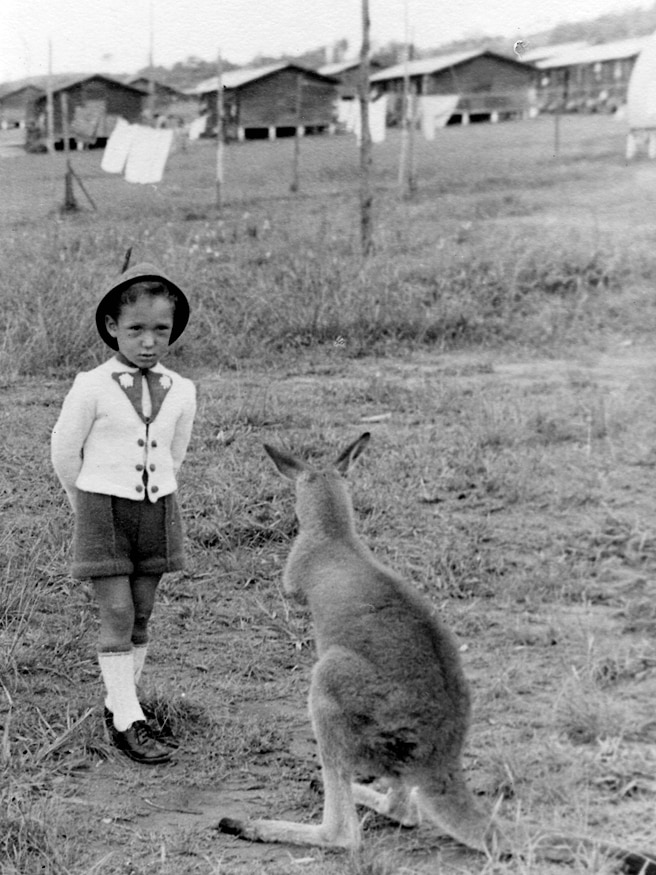 A small European boy in foreign clothing stands facing a small kangaroo.