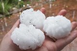 Three large hailstones are held after a storm in Sydney.
