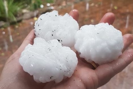 Three large hailstones are held after a storm in Sydney.