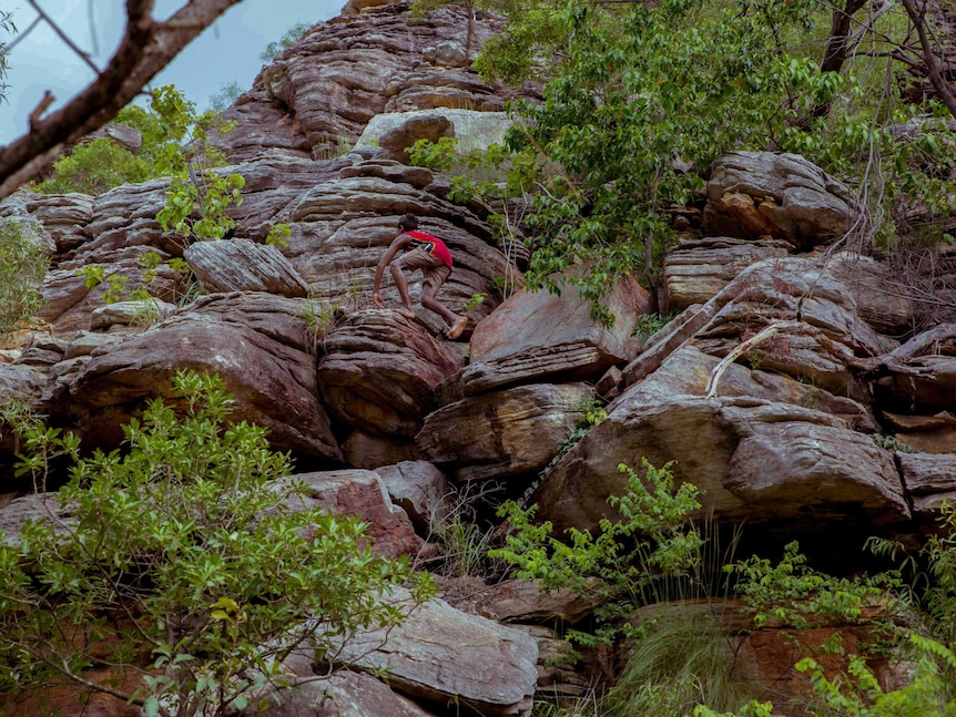 Junior climbs escarpment