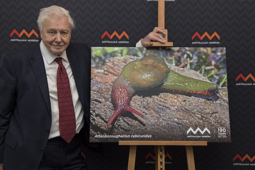 Sir David Attenborough with photo of snail named after him